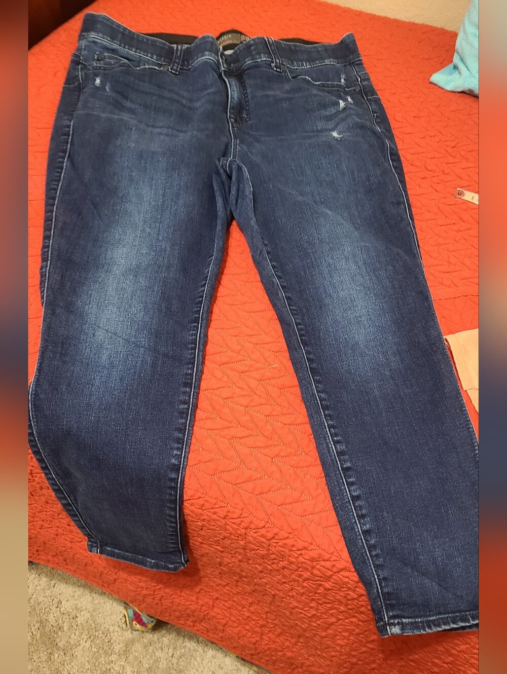 Torrid Dark Blue Stretch Jeans